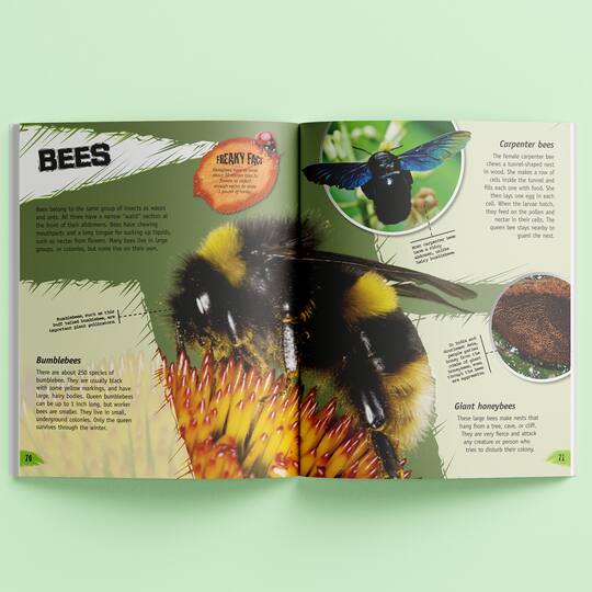 Incredible But True: Bugs & Insects